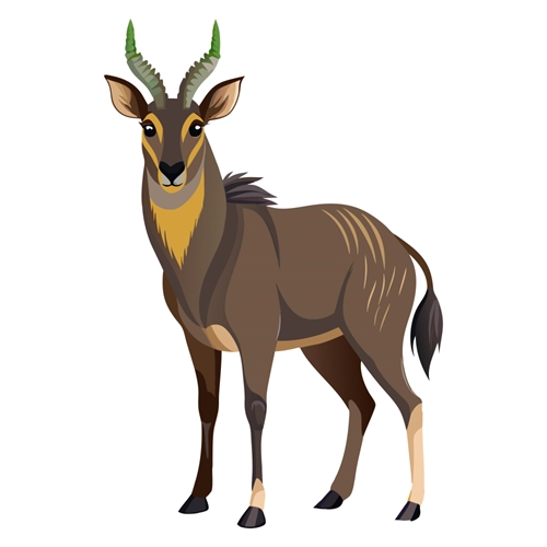 Jungle Safari Nilgai Antelope Transparent Sticker